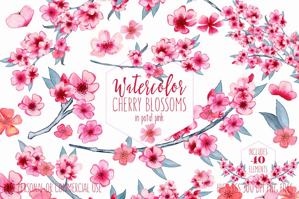 WATERCOLOR CHERRY BLOSSOMS Clipart Commercial Use Wedding Floral Wreaths  Petals