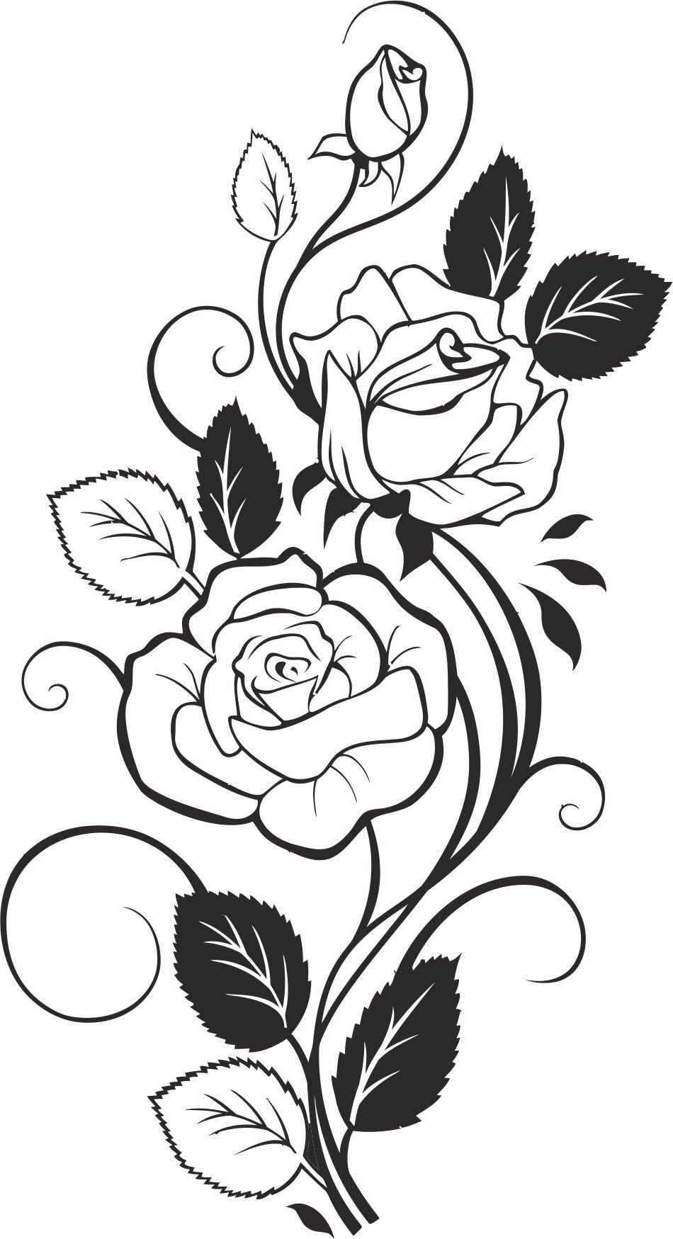 Black and White Rose Vector Free Vector cdr Download