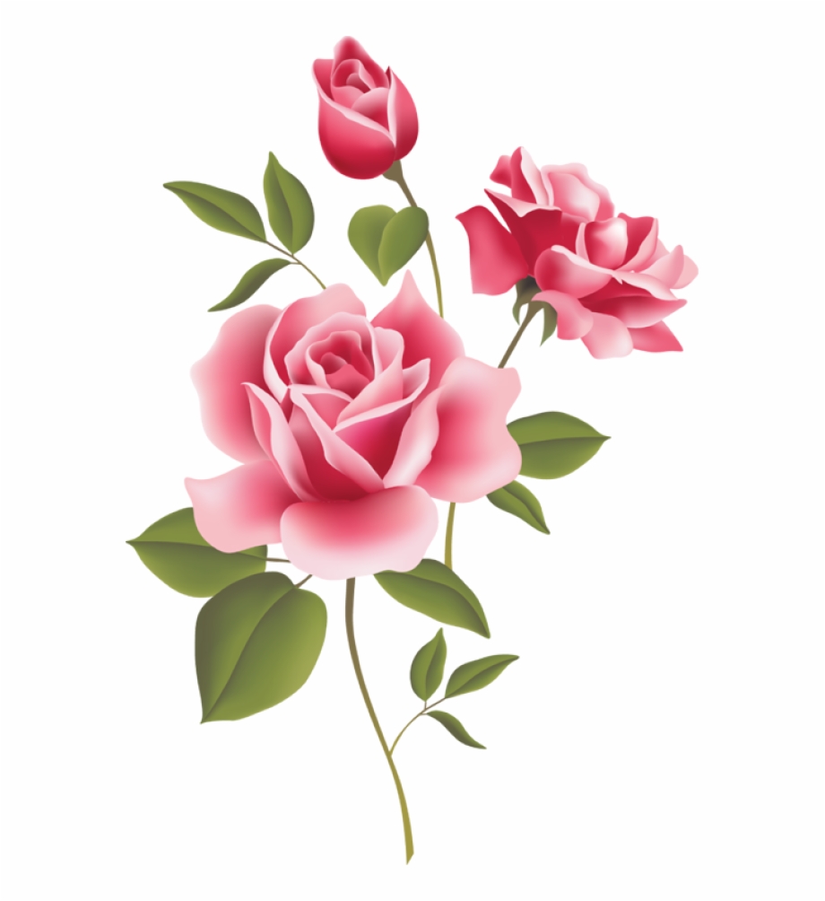 Pink Flower Clipart Borders Flower Rose