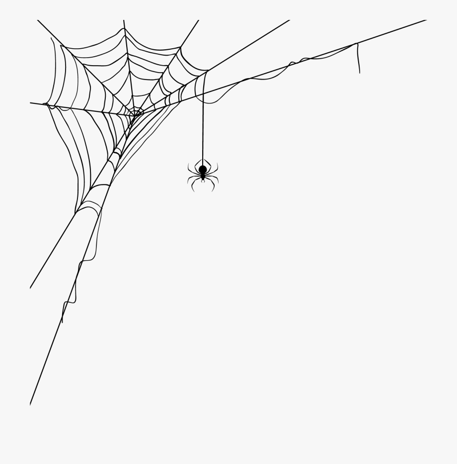 Corner Spider Web Transparent Background