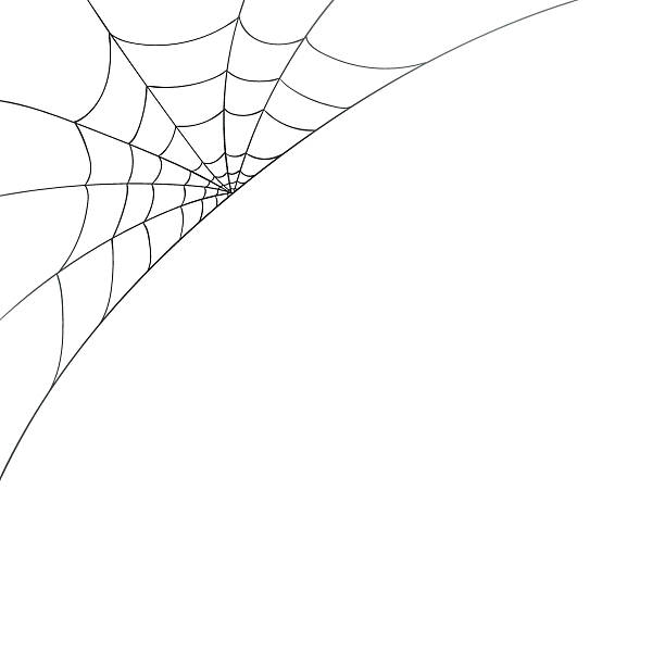 Corner spider web clipart