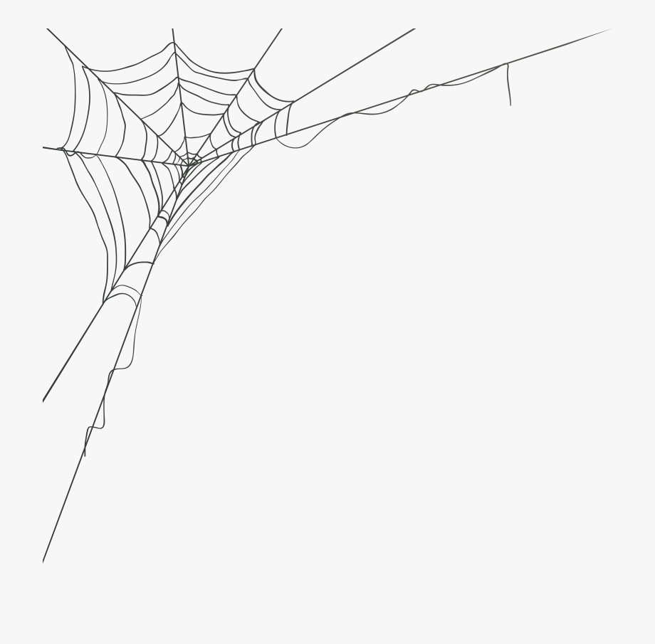 Spider web corner.