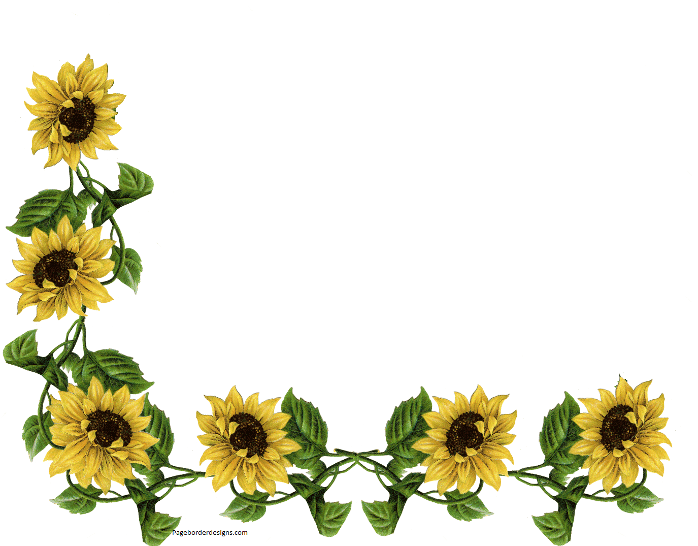 Sunflower Corner Border Design sadiakomal