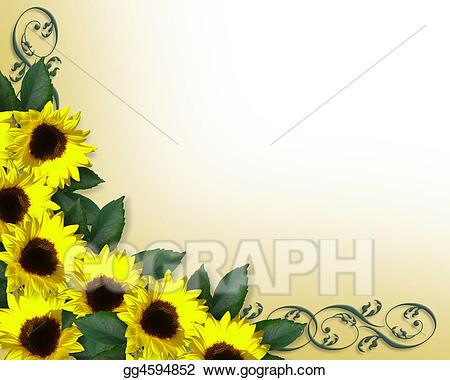 Stock illustrations sunflowers.