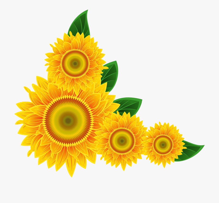 Yellow Flower Border Clipart