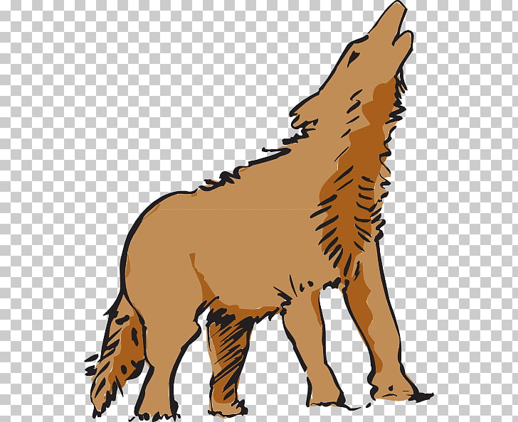 Coyote dog animated.