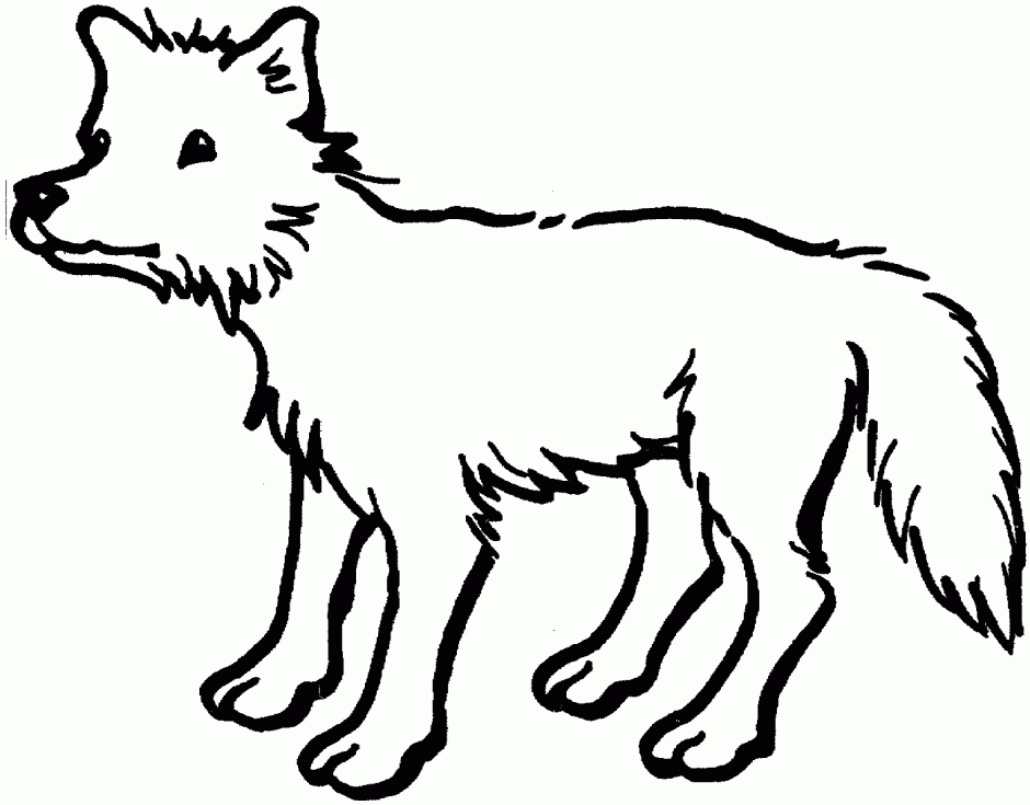 clipart coyote baby