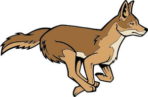 Animated coyote clipart.