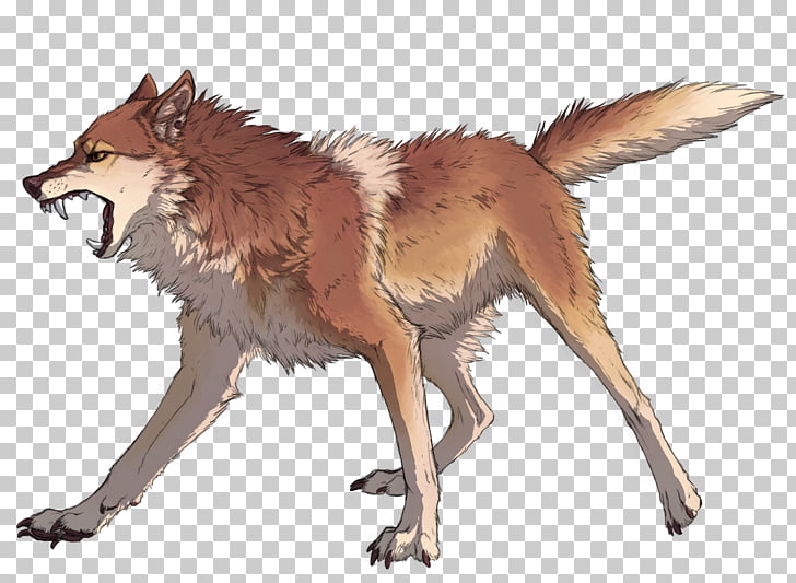 Coyote Dingo Dhole Red fox Canis ferox, fox PNG clipart