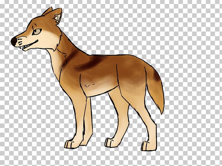 Red Fox Coyote Dhole Dingo Jackal PNG, Clipart, Animals