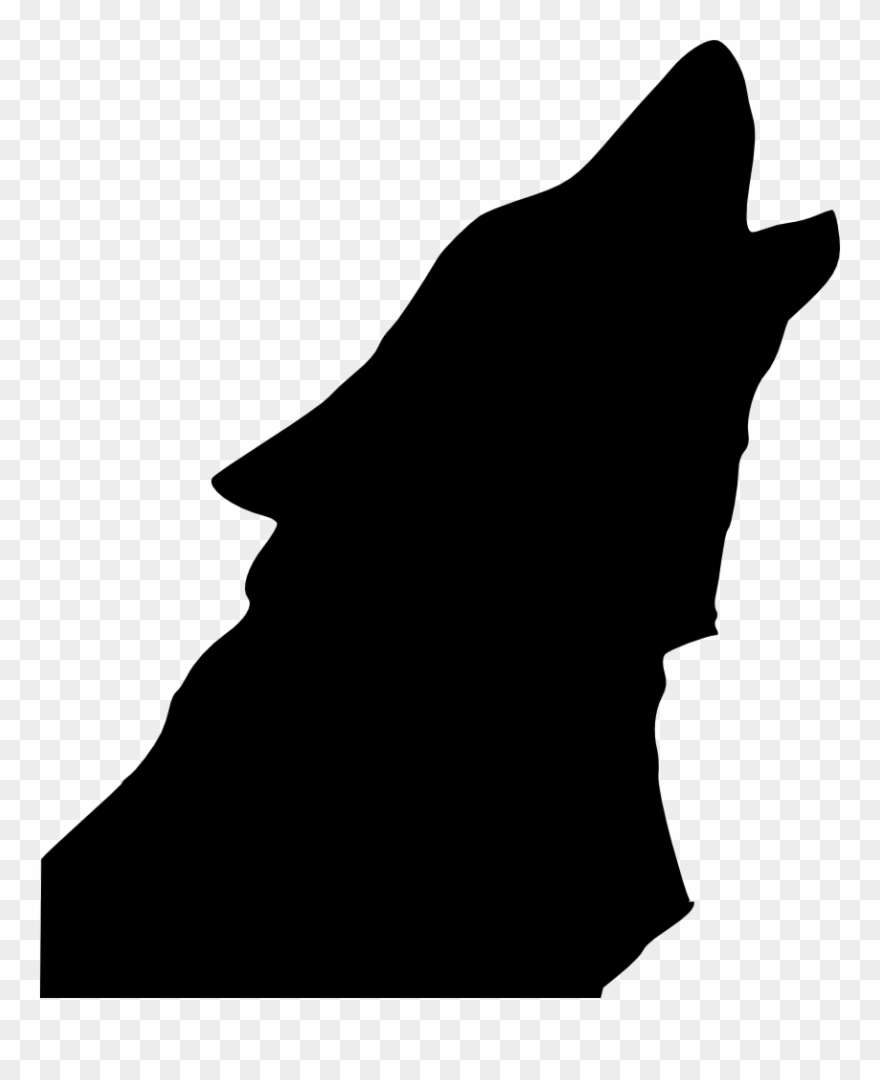 Gray Wolf Coyote Drawing Silhouette Aullido