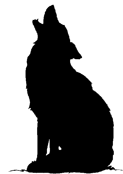 Coyote howling silhouette.