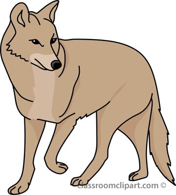 Coyote clipart coyote.
