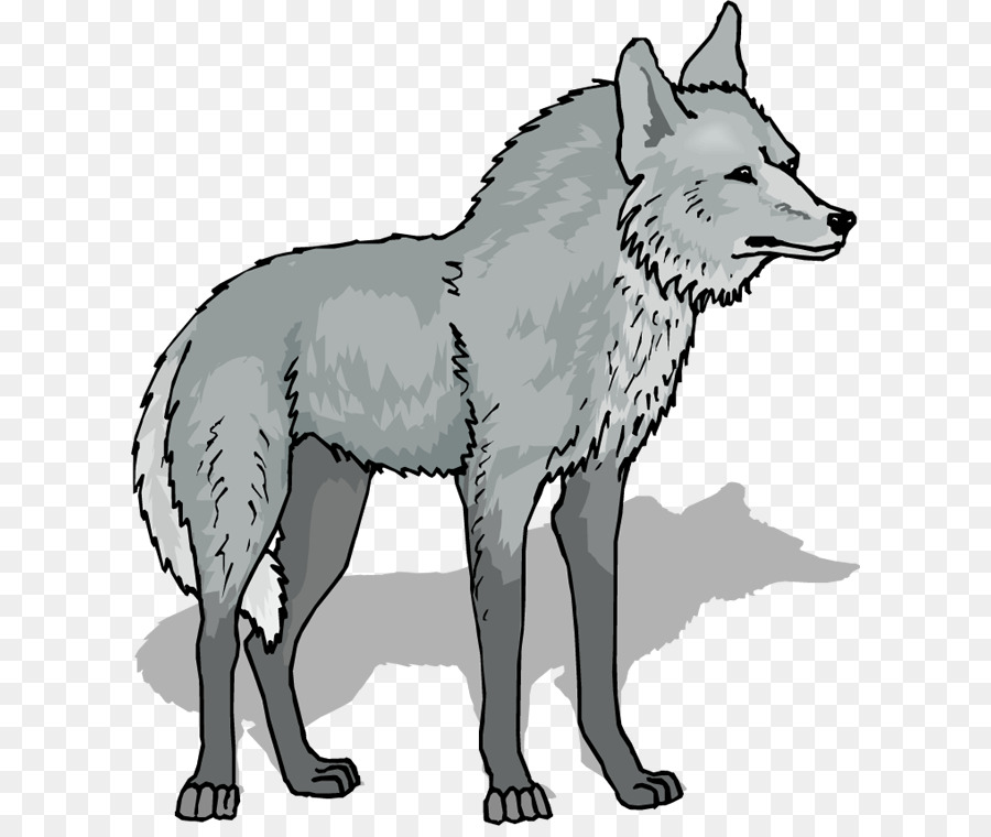 Wolf cartoon png.