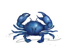 Blue crab nautical.