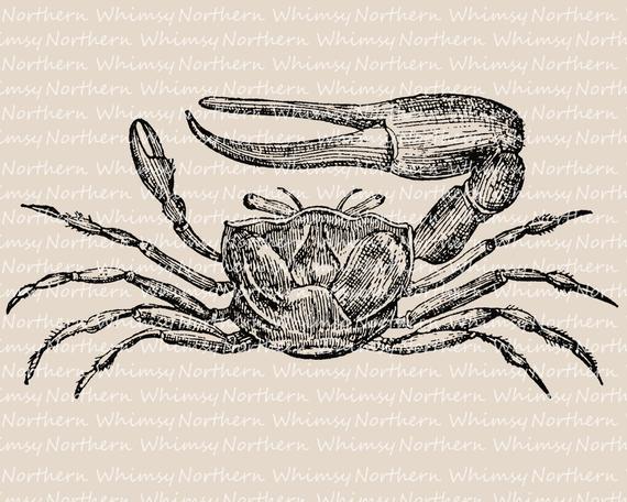 Vintage crab clip.