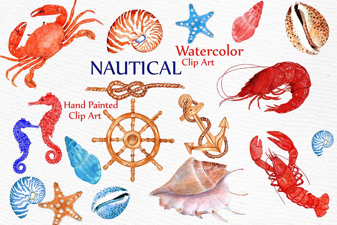 Seashell nautical watercolor.