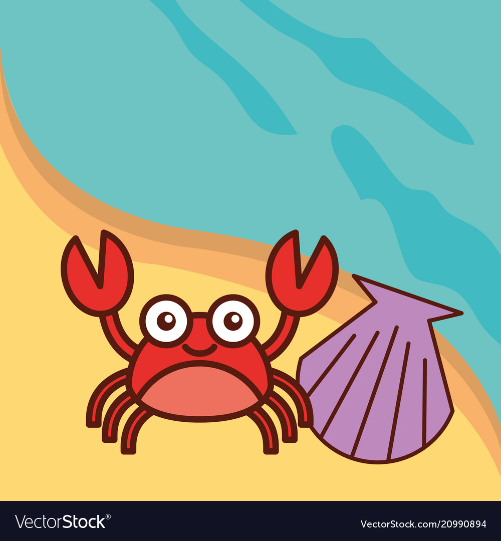 Crab crustacean clam.