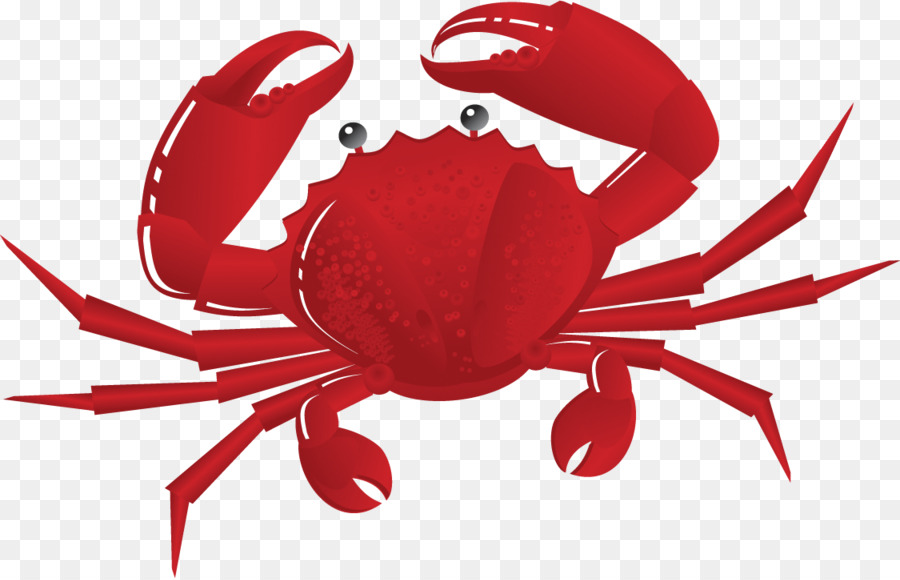 Seafood background clipart.