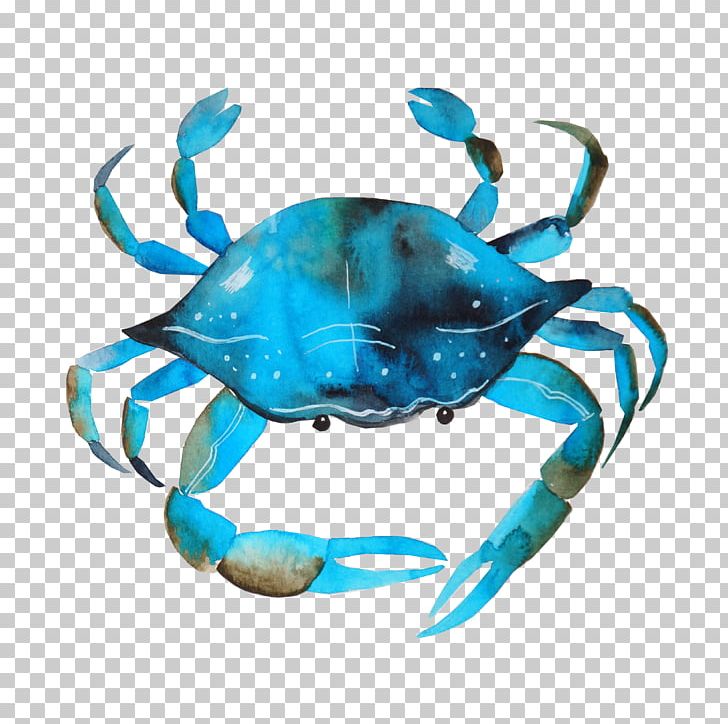 Chesapeake blue crab.