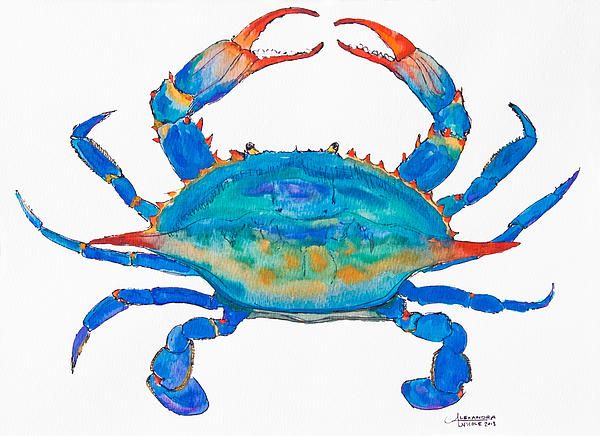 Georgia Blue Crab Watercolor Fine Art Print