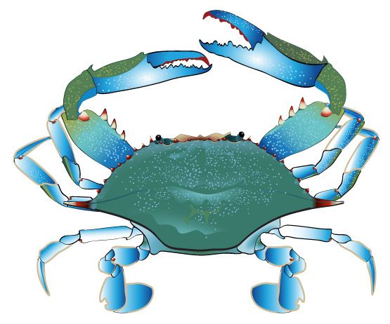 Free Crab Clipart watercolor, Download Free Clip Art on