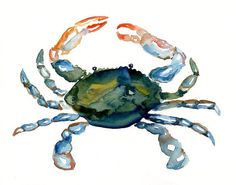 Blue crab watercolor for the