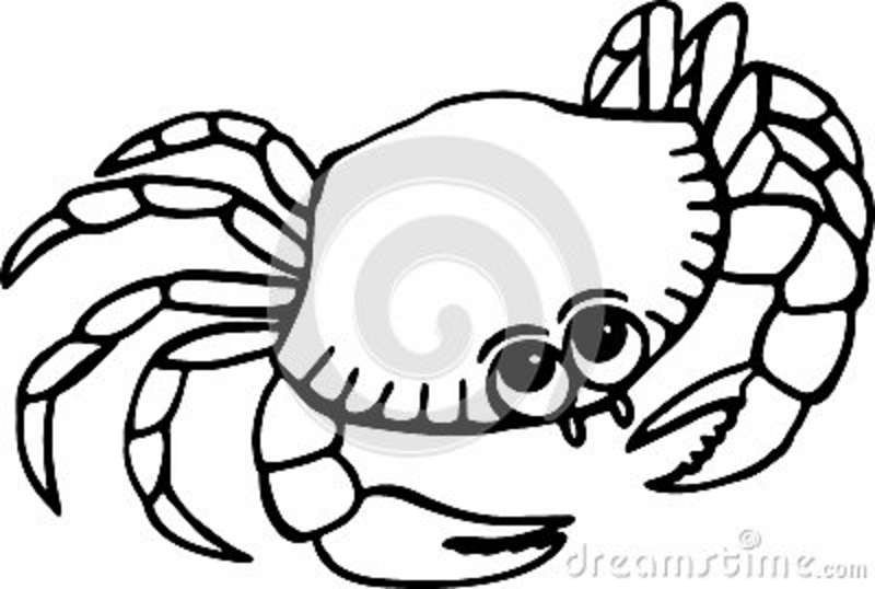 clipart crab white