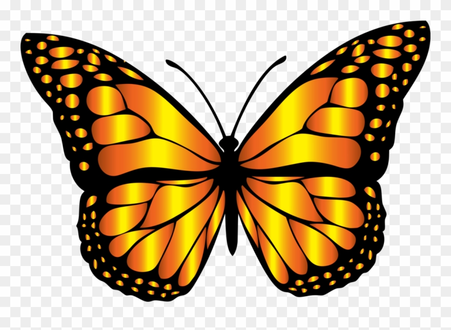 Butterfly Clip Art Free Download On