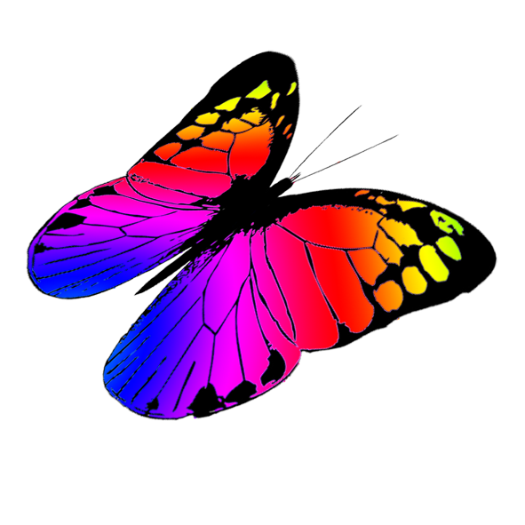 Download Butterflies Butterfly Free Download Clipart PNG