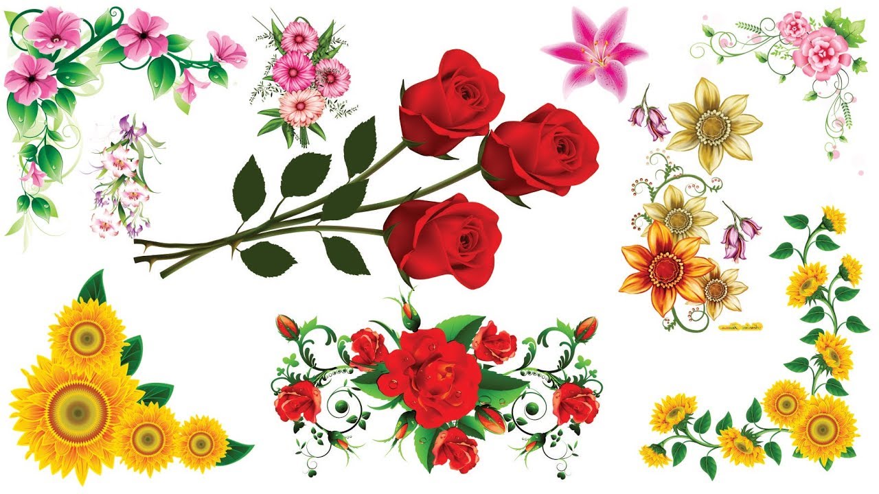 Free Download Set Of PNG Flowers