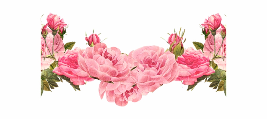 Free Flower Divider Png, Download Free Clip Art, Free Clip