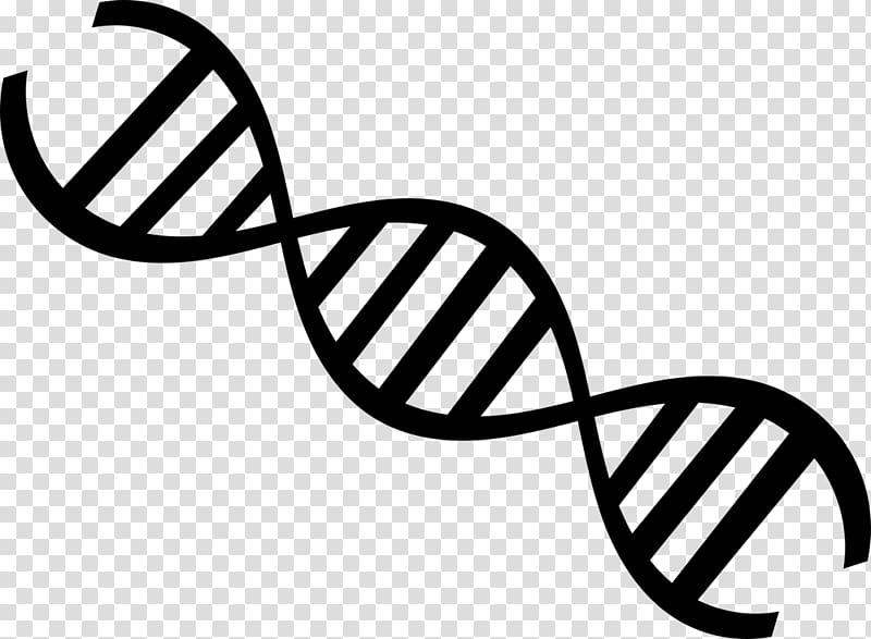 Medical biology DNA Genetics, DNA transparent background PNG