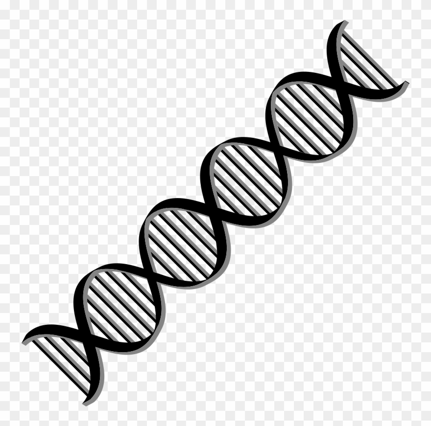 Transparent Black And White Dna Clipart