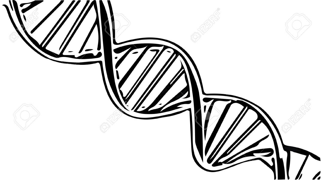Black and white dna clipart