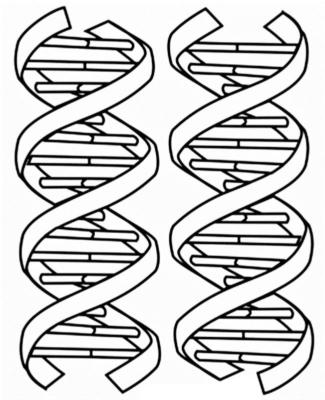 Images of DNA coloring pages