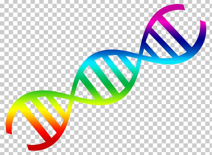 DNA Nucleic Acid Double Helix PNG, Clipart, Area, Circle