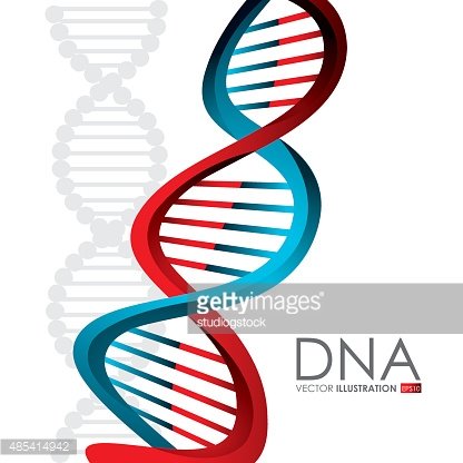DNA design, vector illustration