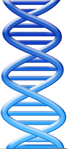 Free Clipart Dna Double Helix