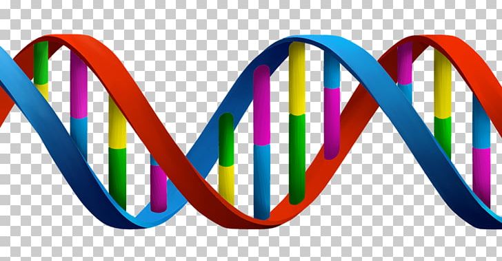 DNA Genetics Biology PNG, Clipart, Biology, Cousin, Crispr