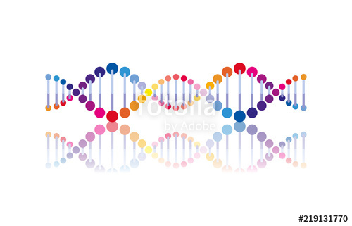 Horizontal dna chain science colorful icon vector