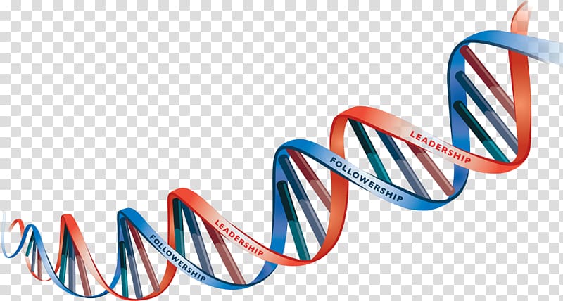 Blue and red DNA illustration, DNA Heredity , dna