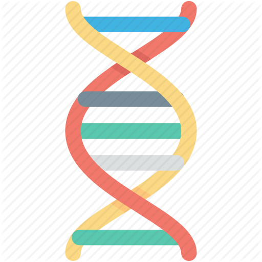 Dna helix drawing.