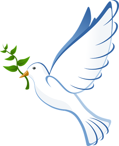 Dove peace flying.