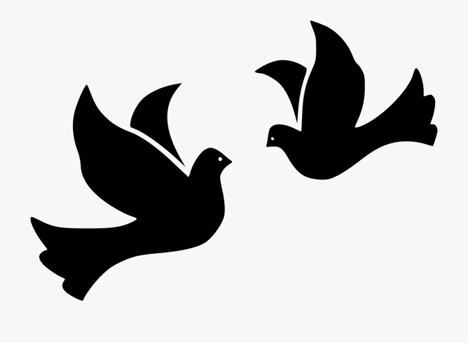 Bird Birds Doves Flight Fly Flying Peace