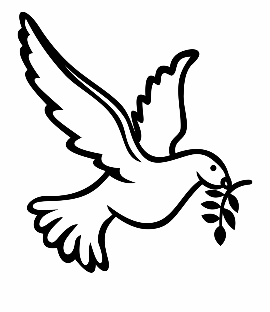 Peace dove holy.