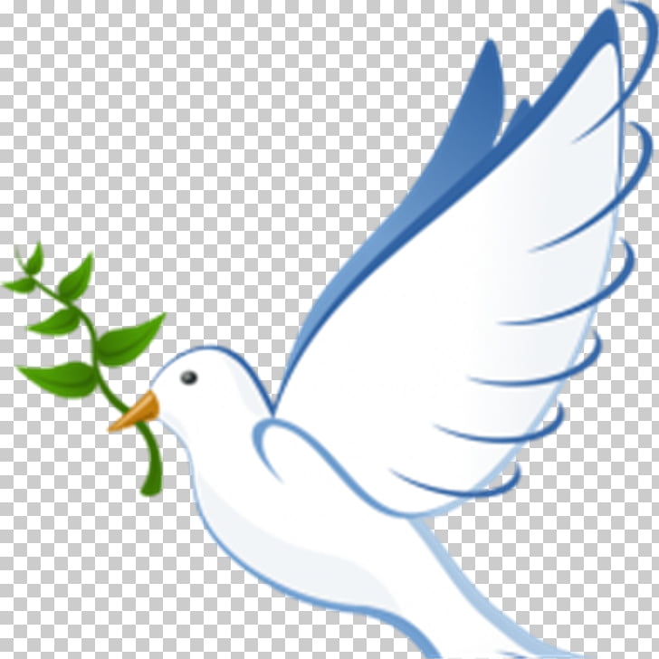 Pigeons and doves Email Doves as symbols Peace, dove PNG