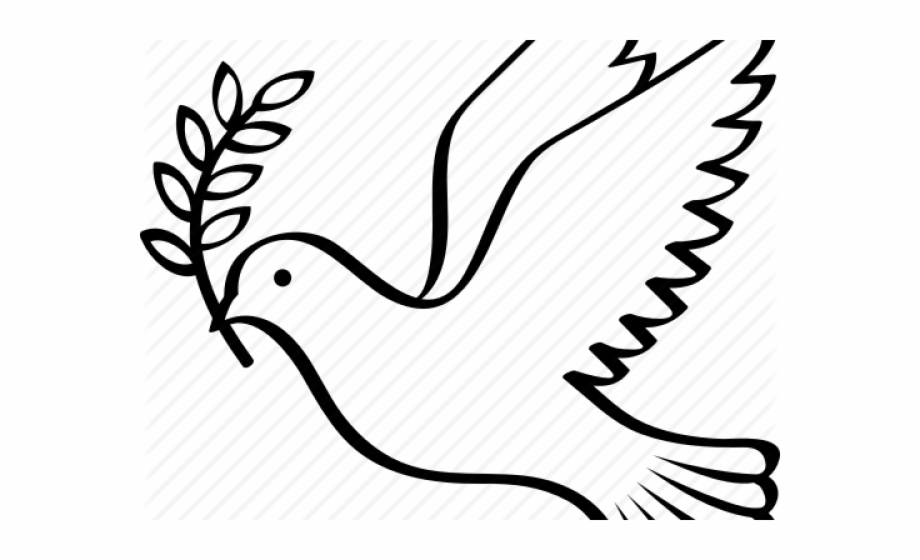 Peace Dove Free PNG Images