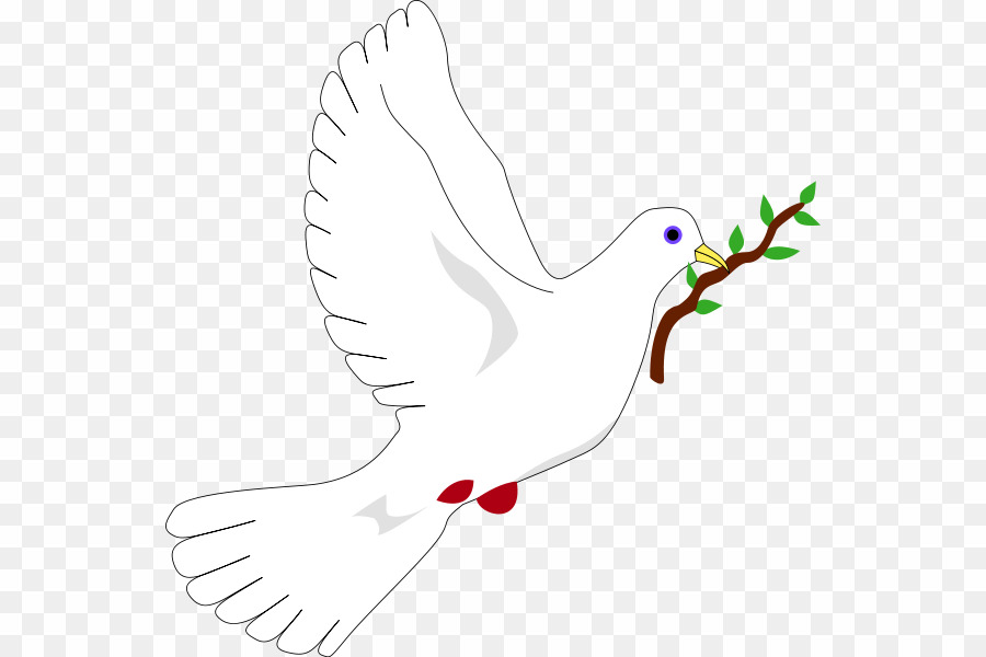 Symbols peace dove.