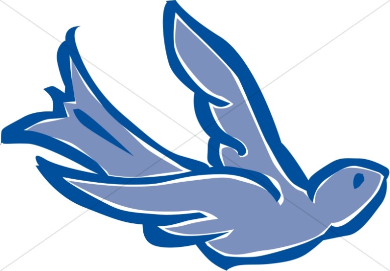 Blue shaded dove.